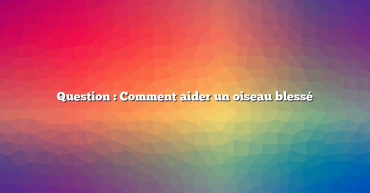 Question : Comment aider un oiseau blessé